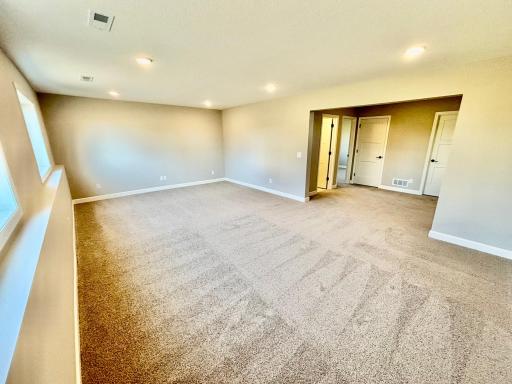 Finished Lower Level - The Crestview at 810 Walnut Ct in Hanover!