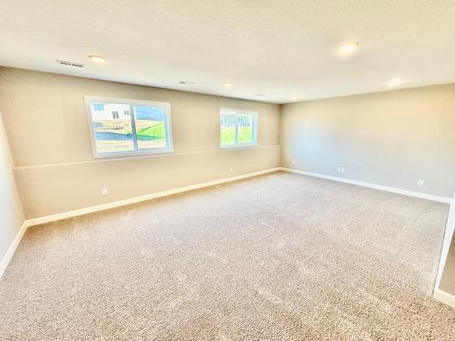 Finished Lower Level - The Crestview at 810 Walnut Ct in Hanover!