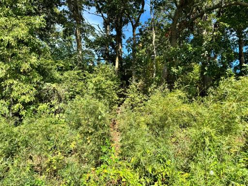 21060 Pike Avenue, Aitkin, MN 56431