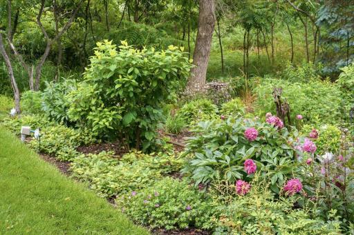 Established perennial gardens bring color, texture, and character to the landscape, creating a backyard that feels cared for and beautifully connected to its surroundings.