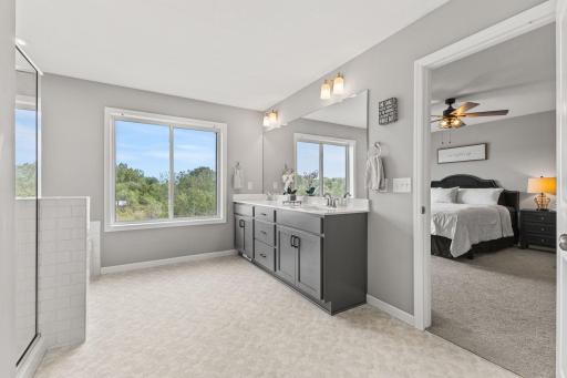 14829 Willemite Street NW, Ramsey, MN 55303