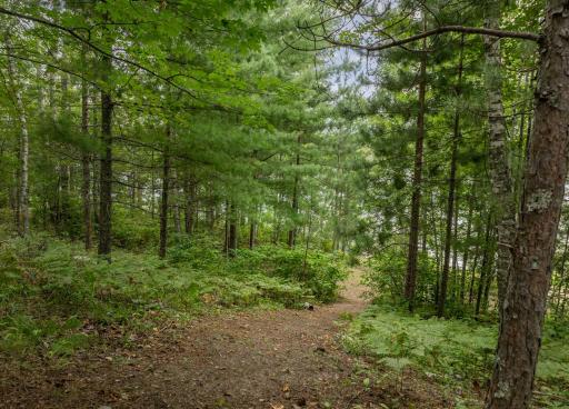 24871 E Long Lake Road, Bigfork, MN 56628