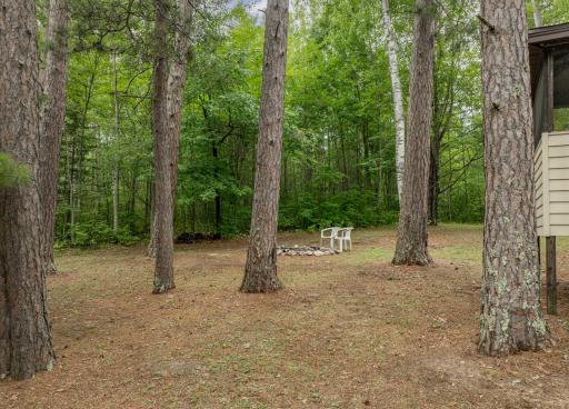 24871 E Long Lake Road, Bigfork, MN 56628