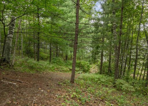 24871 E Long Lake Road, Bigfork, MN 56628