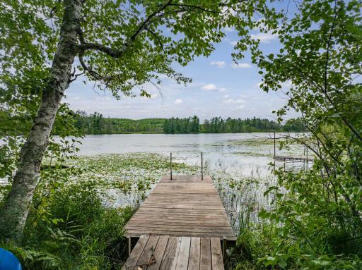 24871 E Long Lake Road, Bigfork, MN 56628