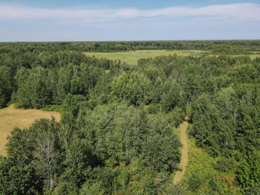 14586 Lynx Road, Milaca, MN 56353