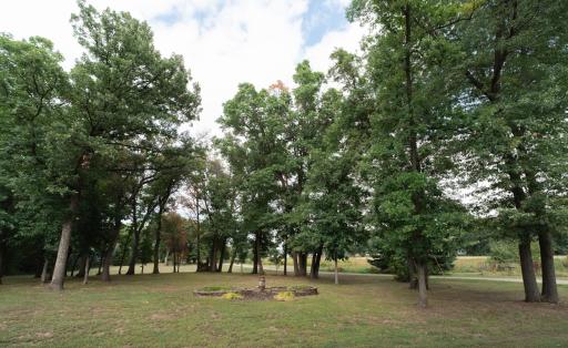 15777 Harness Road, Little Falls, MN 56345