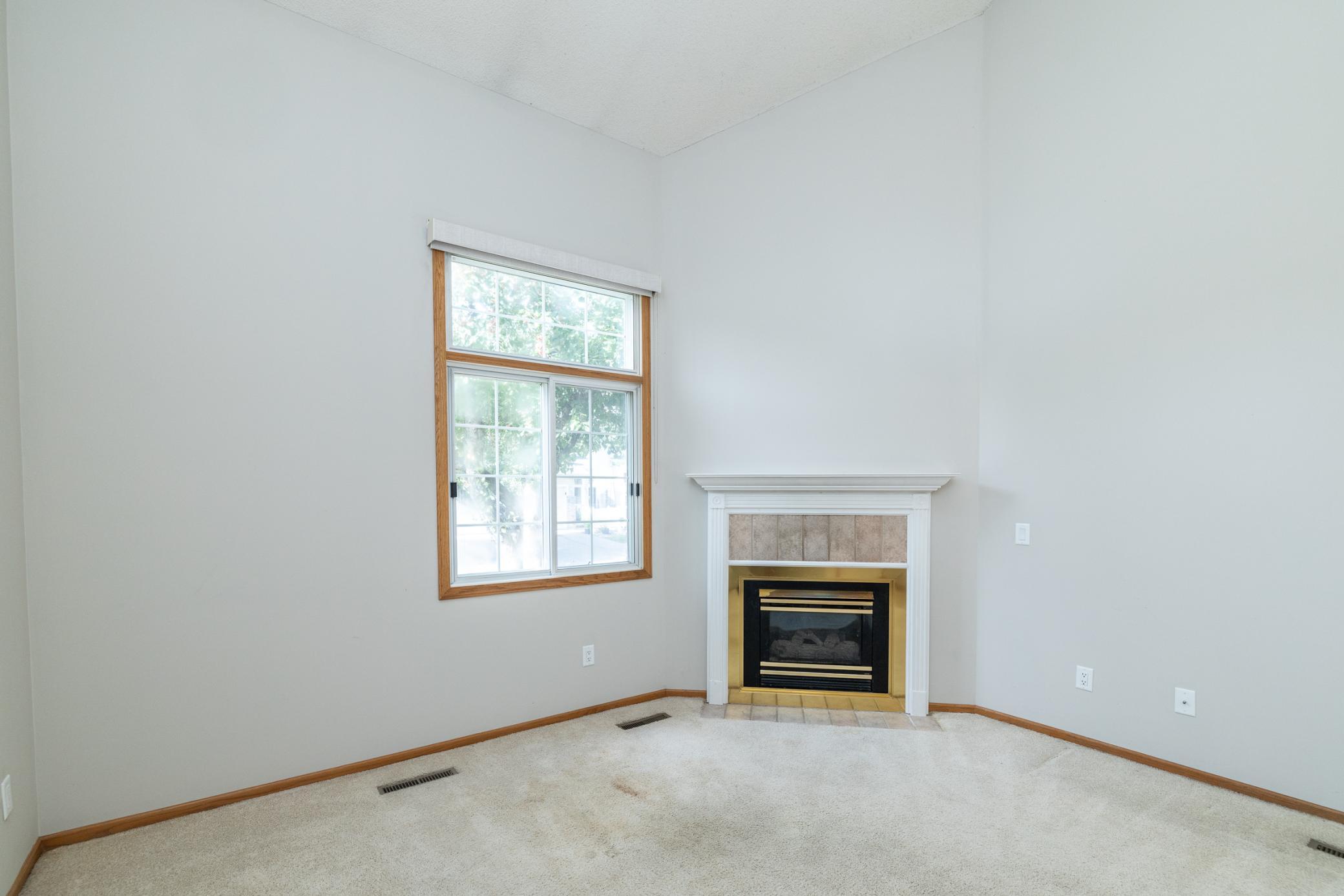 Gas fireplace