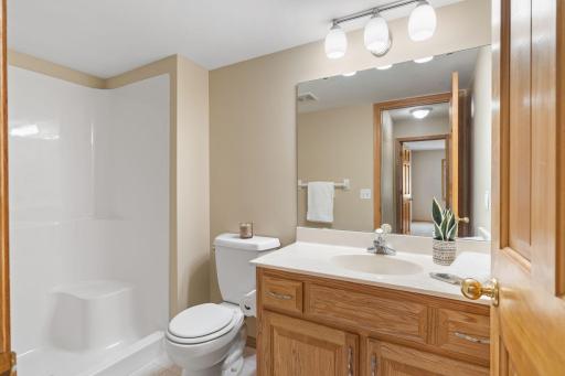 Lower level 3/4 bathroom with step in shower