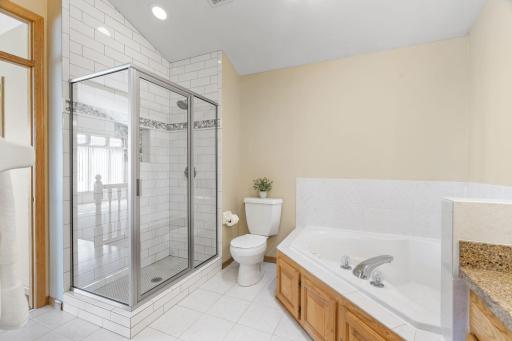 Separate tub and shower. New and updated shower tile.