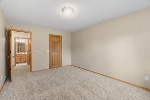 Lower level large bedroom with walk in closet