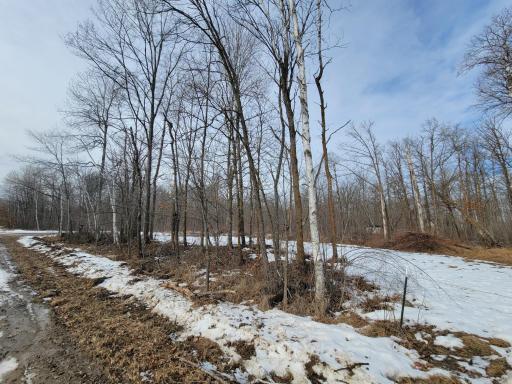 Looking into property from Black Bear Drive SW
