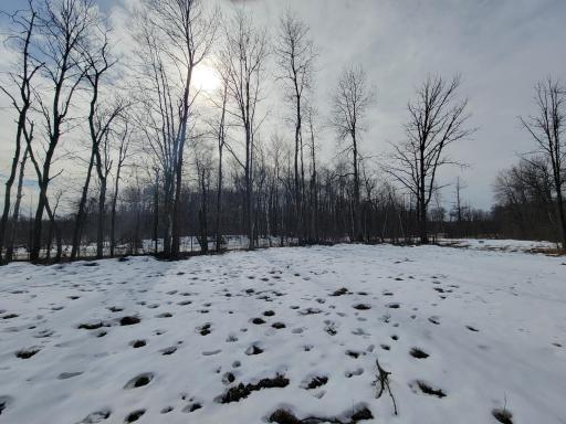 Open area on this property