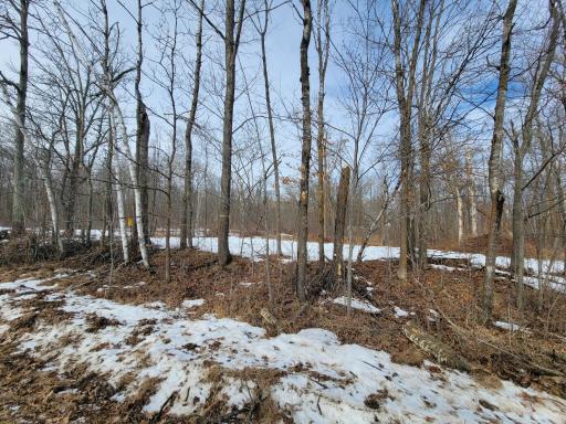 View looking into property from Black Bear Dr