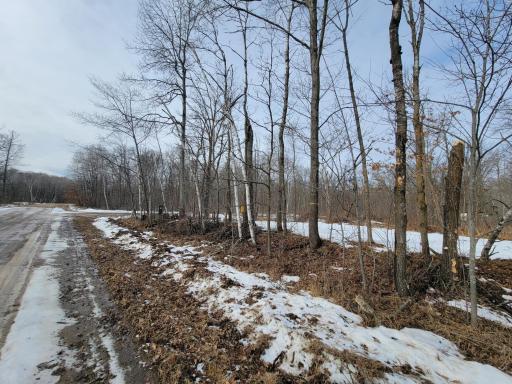 View of property from Black Bear Drive SW