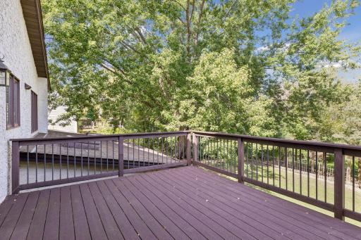 20 Deer Hills Drive, North Oaks, MN 55127