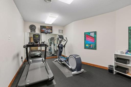 Exercise gym