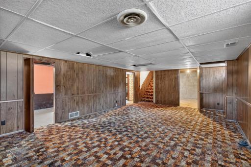 Family room basement