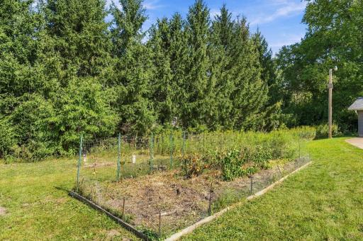 Veggie Garden