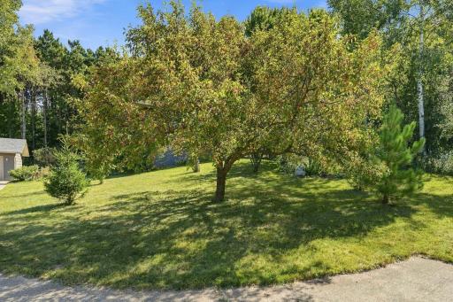 41-web-or-mls-127_Ponderosa_Rd_River_Falls_WI_54022_040.jpg