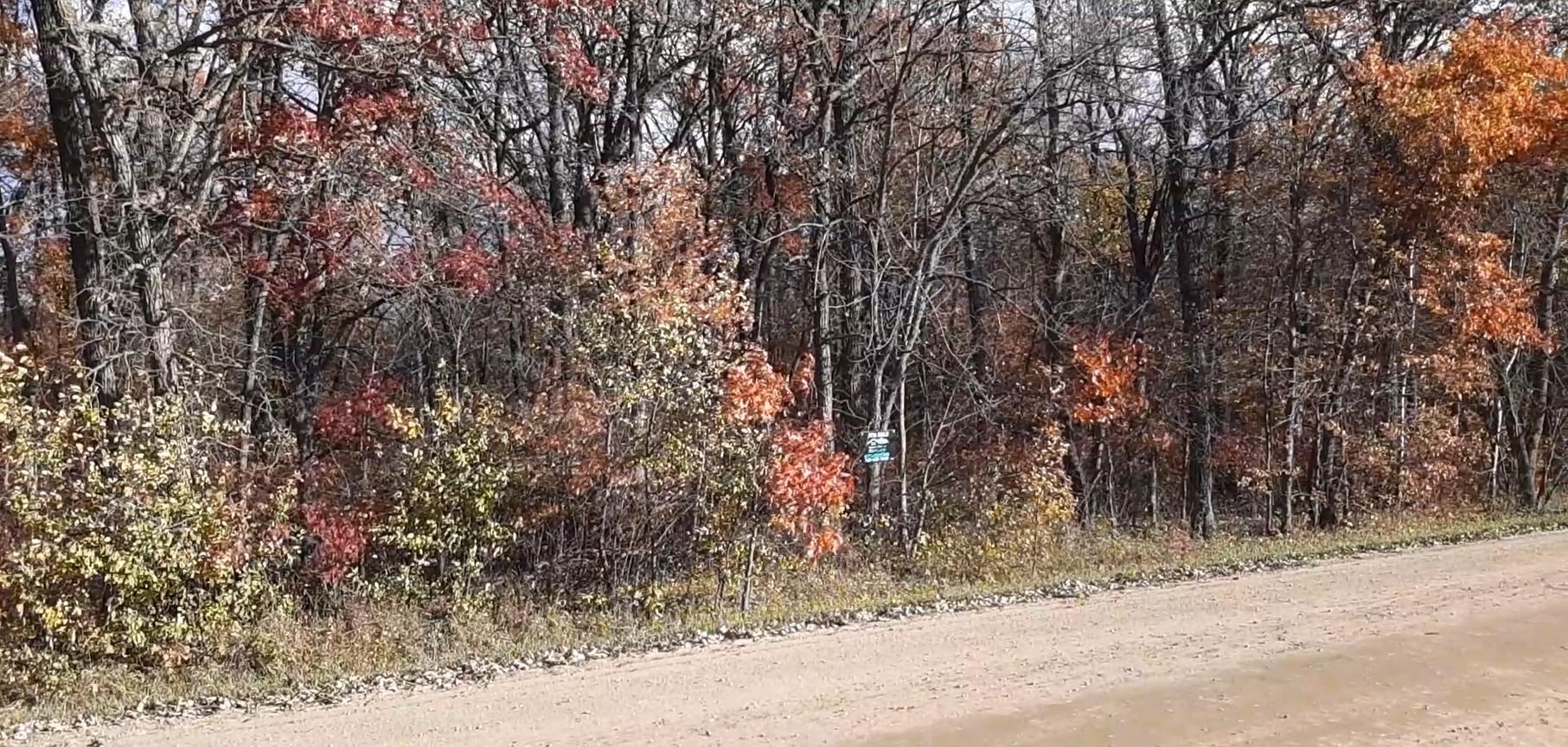 Fall