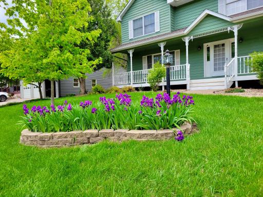 Spring time