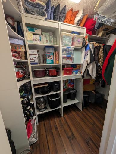 Walk-in Closet off Family Room