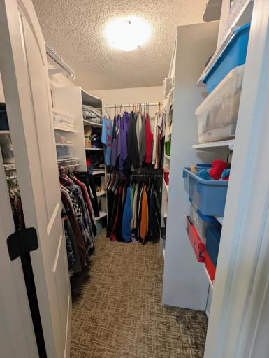 Walk-in Primary Closet