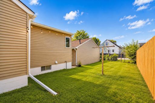 50_back yard.jpg