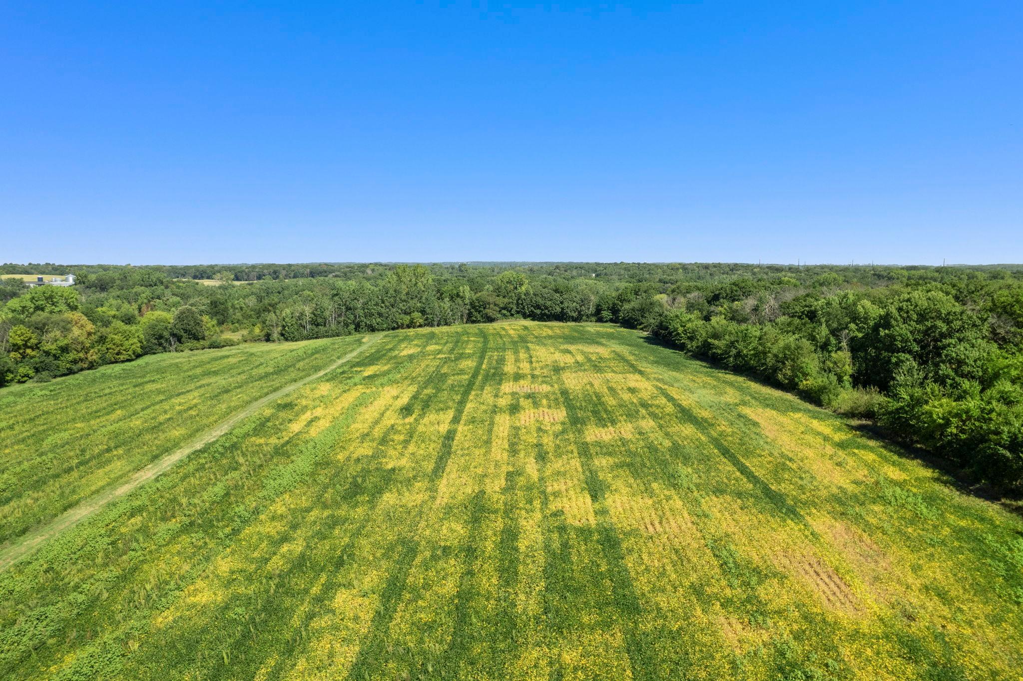 Wide-open views across the property showcase the space and potential this parcel has to offer