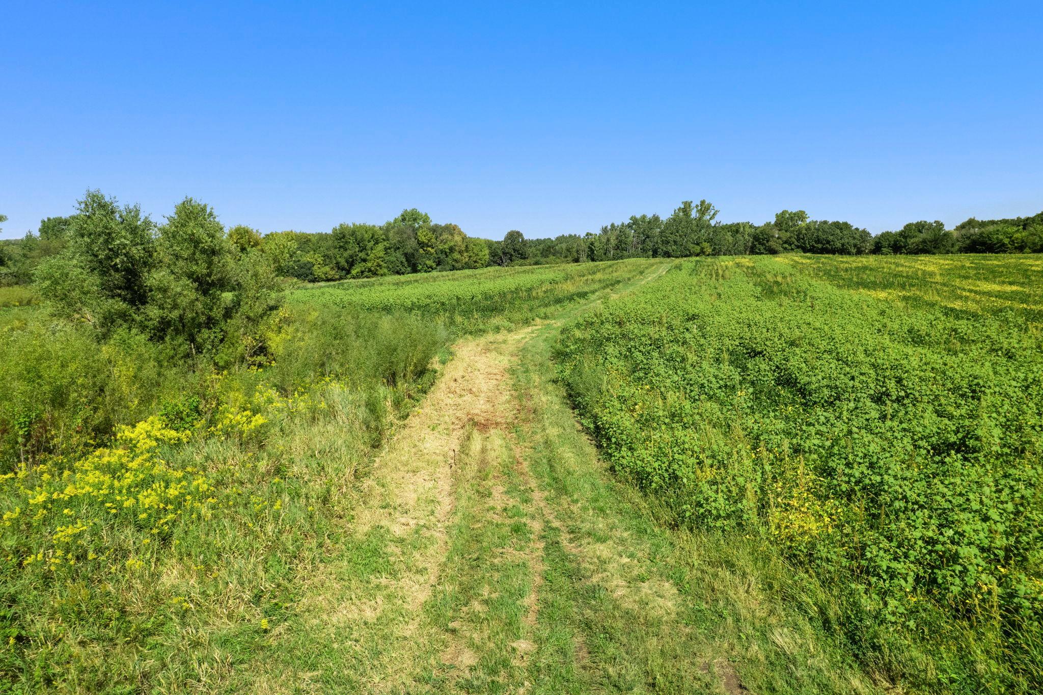 A mowed path provides easy access through the property and a closer look at the land and surrounding area