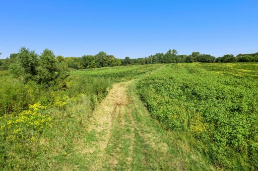 A mowed path provides easy access through the property and a closer look at the land and surrounding area