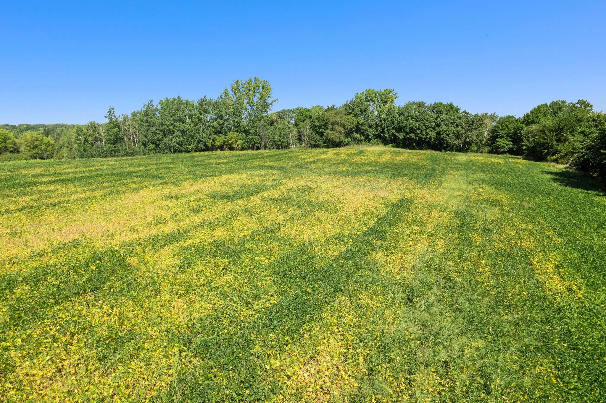 Gently rolling acreage and mature trees create a scenic backdrop