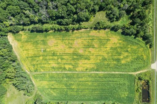 A closer aerial view highlighting the open acreage, tree-lined surroundings, and generous amount of space
