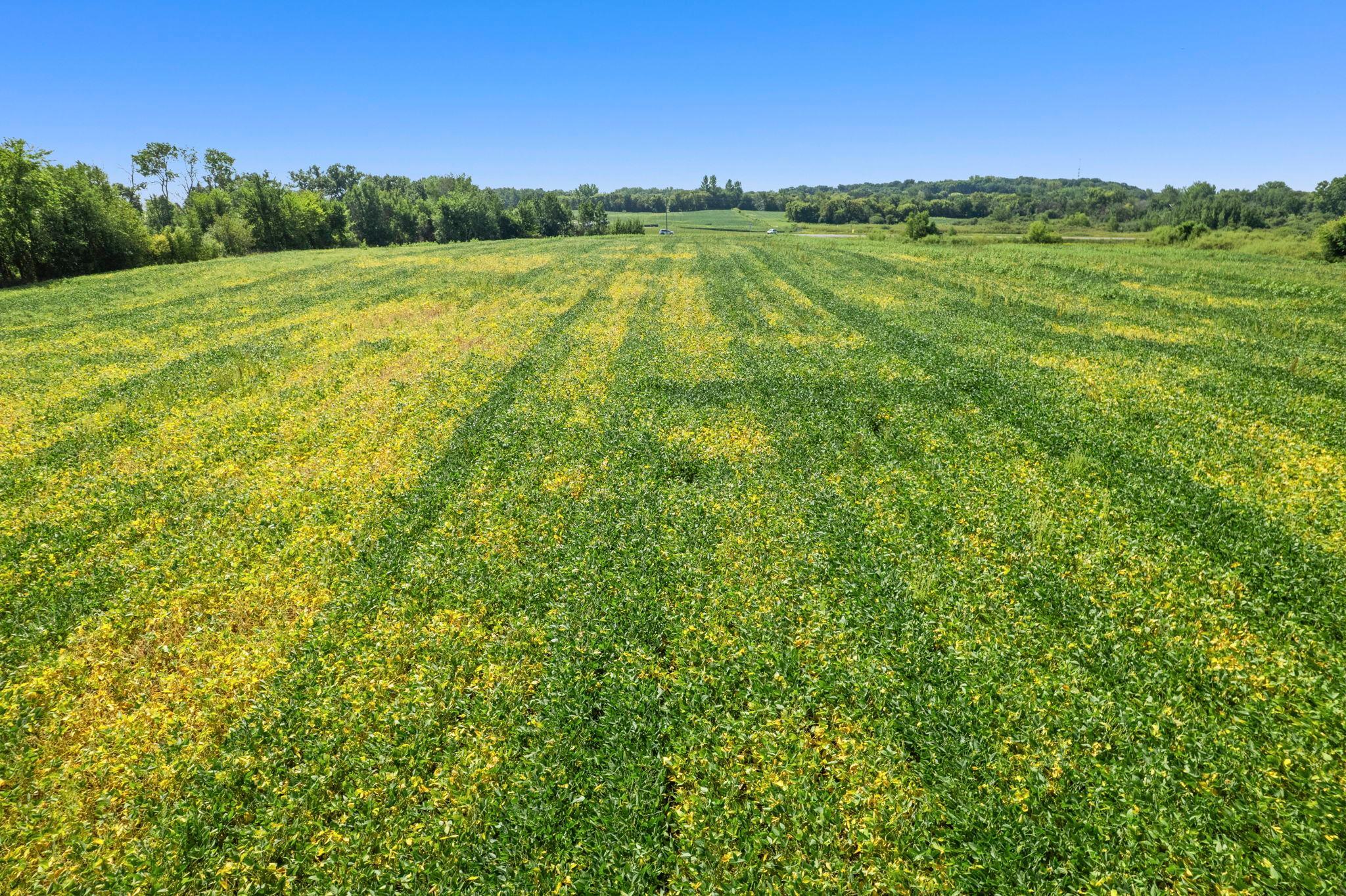 Expansive, open land creates a picturesque setting with plenty of possibilities for future use