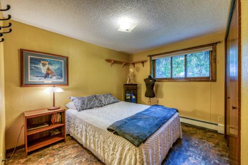 Lower Level Bedroom 1