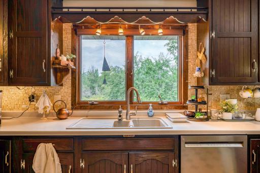 Kitchen Views into backyard