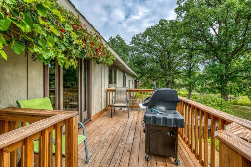 Back Deck Adorned with grapevines