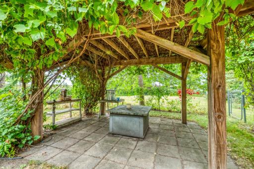 Rear Patio with propane fire pit, Pergola covered in old growth grapevine