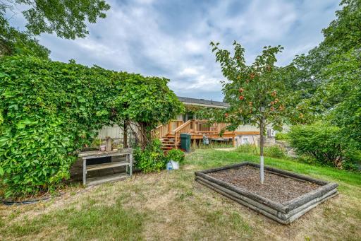 Backyard Landscaping with fruit trees, grapevines, and gardens