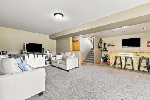 Living room - Lower Level