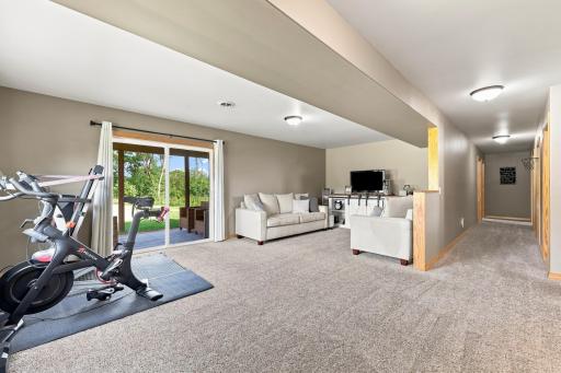 Living room - Lower Level