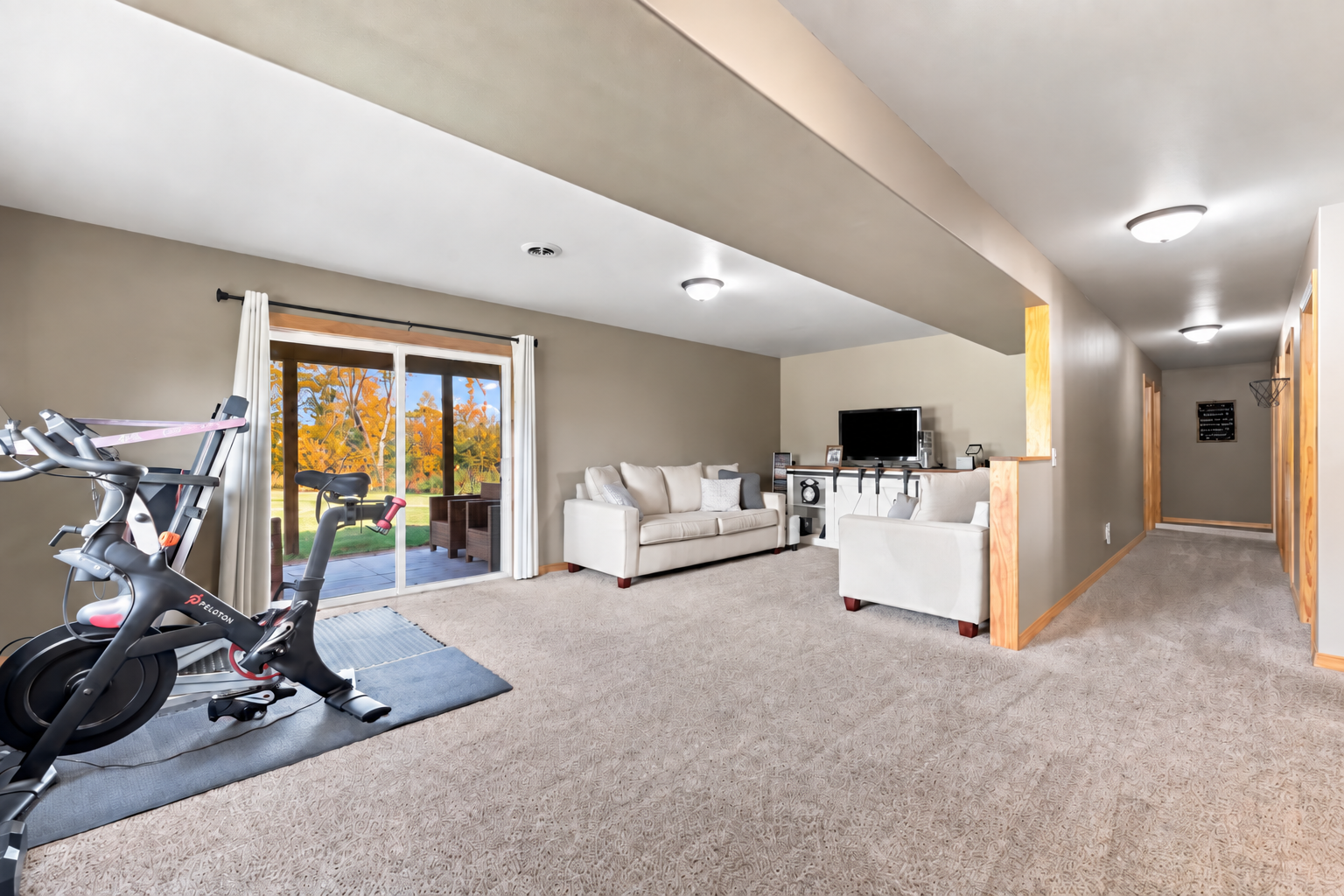 Living room - Lower Level