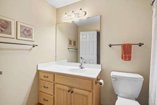 Lower level full bath