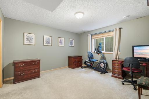 Lower level 3rd BR or office