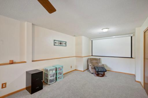 Lower Level Bedroom with Theater Room