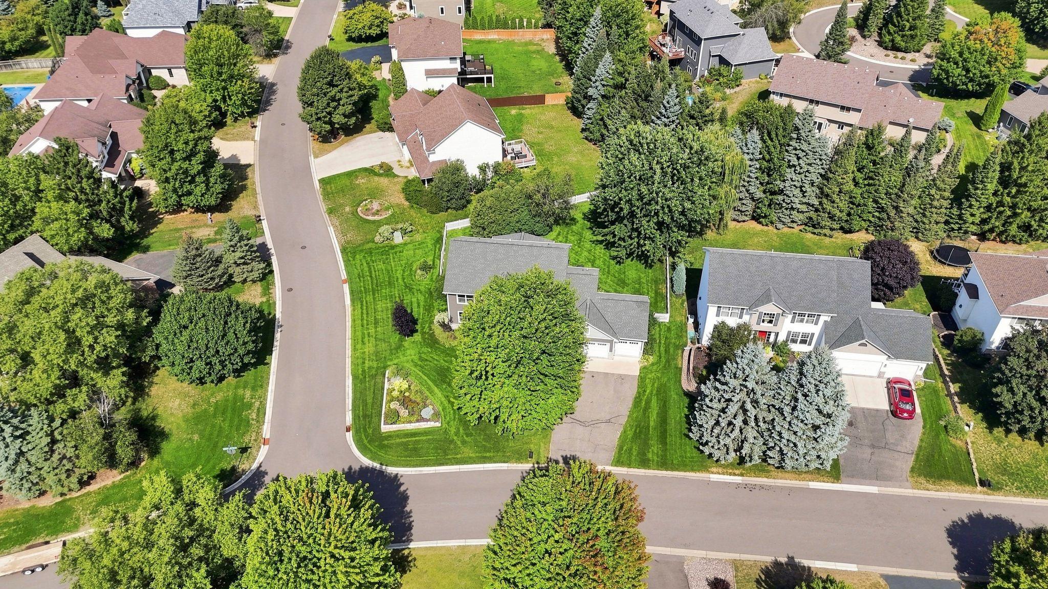 Aerial Overview