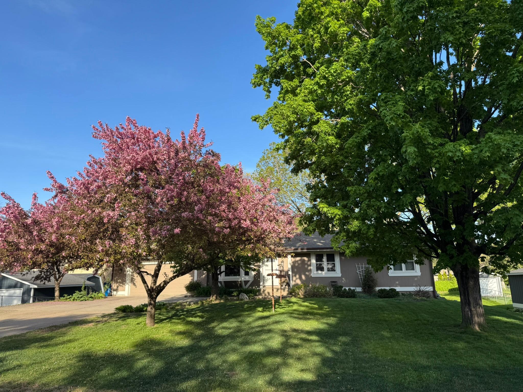 Temp Photo of exterior