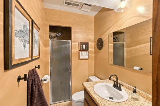 Lower Level Bathroom