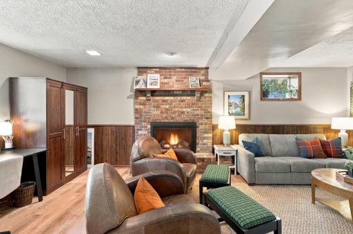 Family Room Lower Level